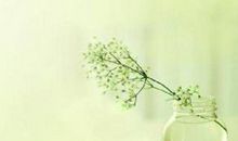 关于春天的短句子