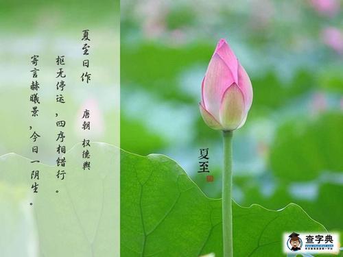 成语形容莲花