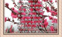 有关春天的诗句古诗