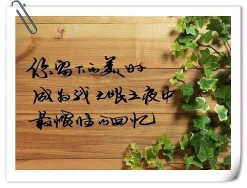 5字句