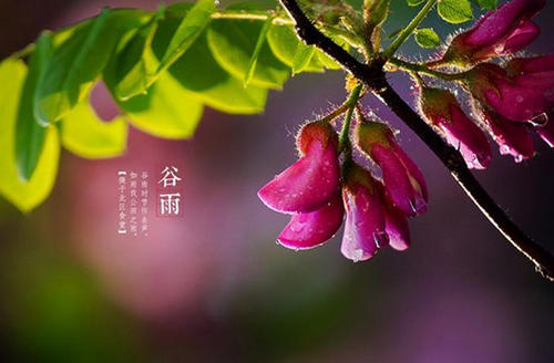 雨季的简单祝福