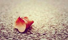 人生即将谢幕时,就会发现曾经觉得重要的东西其实可有可无