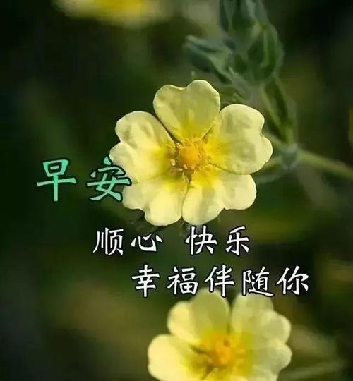 生命的祝福