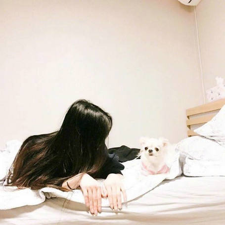 我不羡慕也不依赖任何人，所以我不能惊慌1