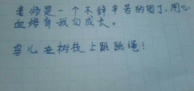 寓言与鸟