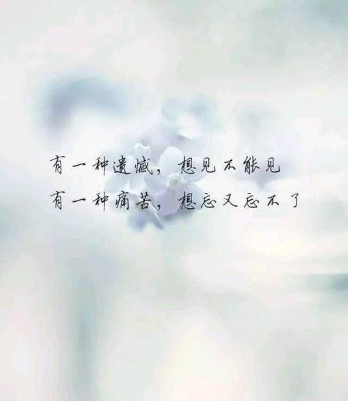 断肠的句子