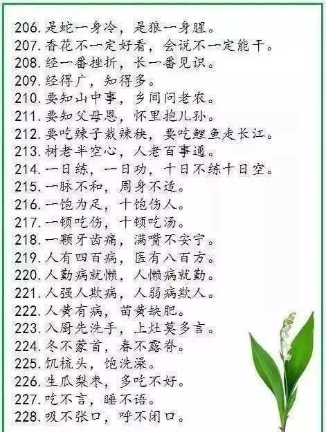谚语