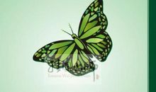 节能减排宣传口号