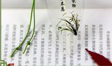 给自己的鼓励谚语