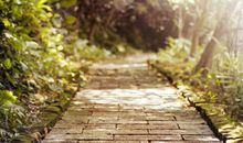 唯美的图片及句子