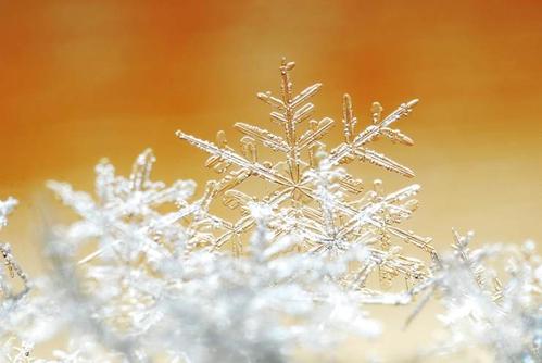 雪花飘落