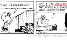 关于保护动物英语谚语