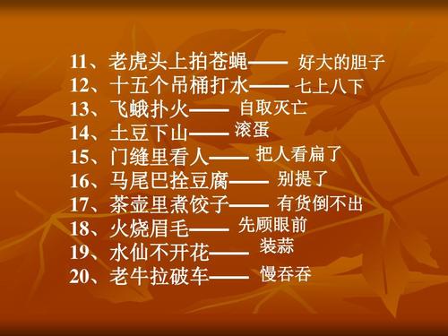 华固铎碰肉刀