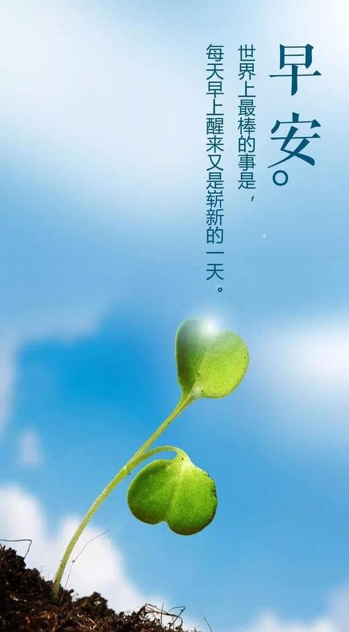 工作态度和灵魂鸡汤报价