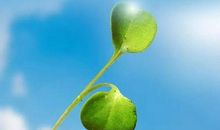 工作态度心灵鸡汤语录