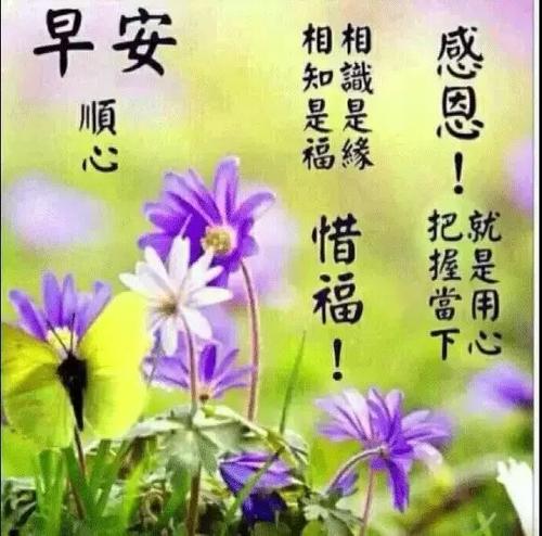 早上的祝福