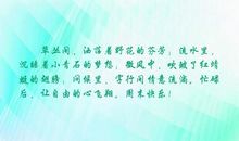 关于周末愉快的句子