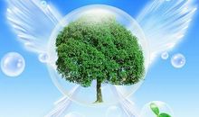 关于保护水资源的谚语