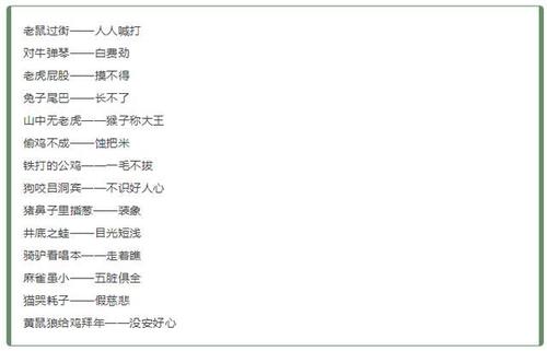 2个过敏词