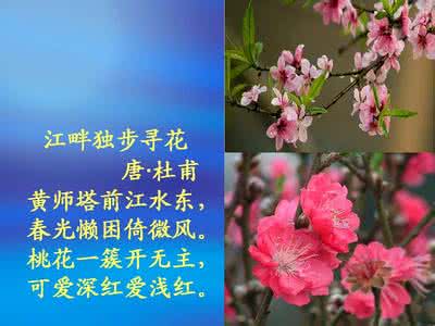 用50个字描述桃花的一段