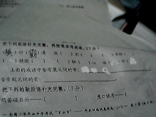 过敏词