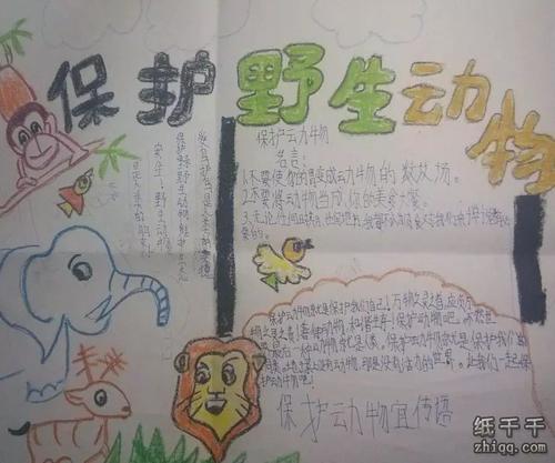 关于保护动物的名言
