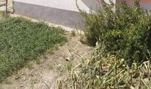 秸秆禁烧宣传口号