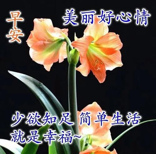 星期四早上的问候