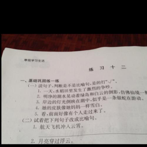 兔子的寓言