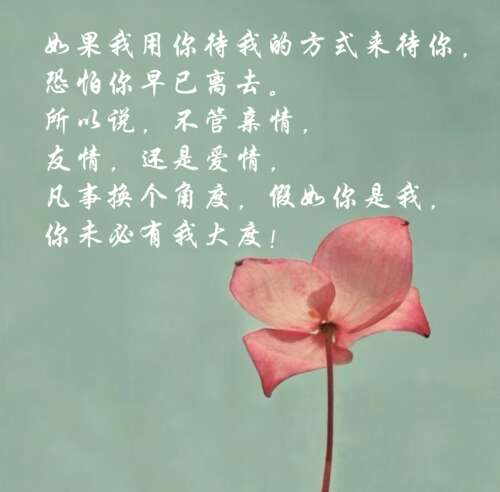 家的句子是什么