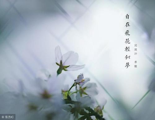 劝说人们放弃的话