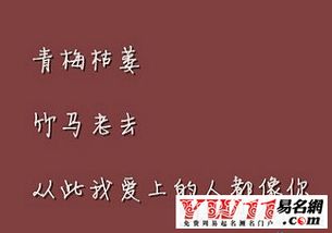 谈论大爱，谈论短暂和流行