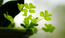 凡事看的太重，只因挫折经历太少