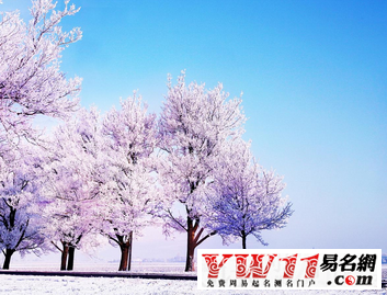 大雪写句子