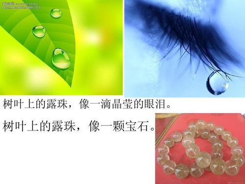 树枝和树叶的隐喻
