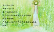 给蓝颜知己的暖心句子