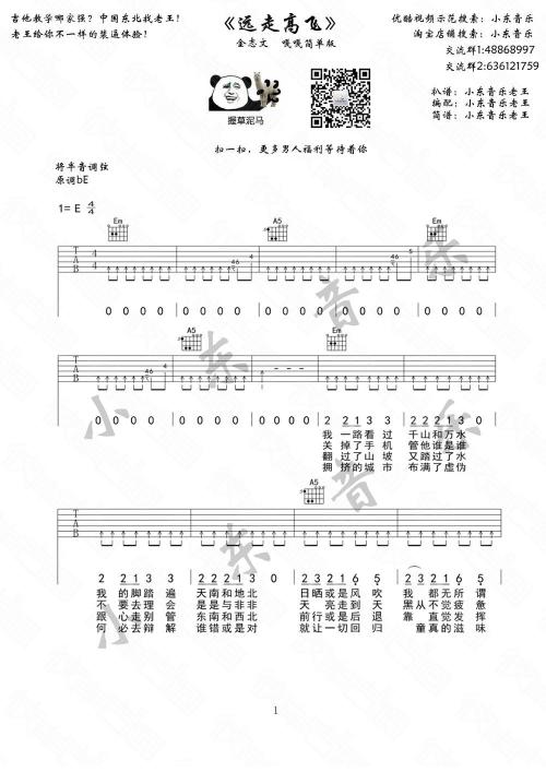 走开高飞