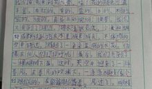 描写春日阳光的句子