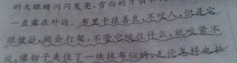 好像是个隐喻