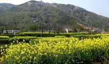 家乡风景的句子