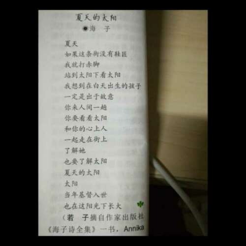 夏天的隐喻