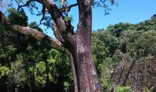 半天云里拍巴掌歇后语