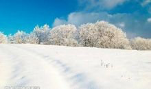 与雪有关的谚语