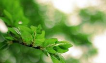 有关春天的节气谚语