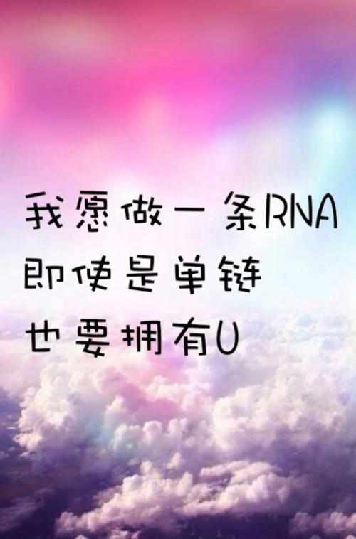 英爱誓言