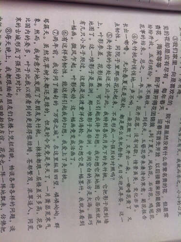爱平行句子