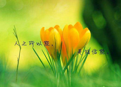 持久性不一定成功，但放弃必将失败1