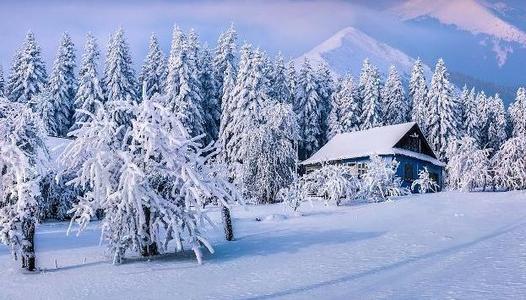 关于雪的谚语