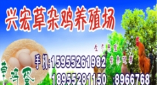口号