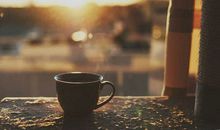 人活久了,不得不现实一点